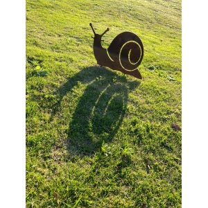 Caracol yo