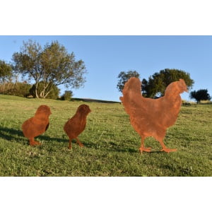 Gallina con pollitos 1