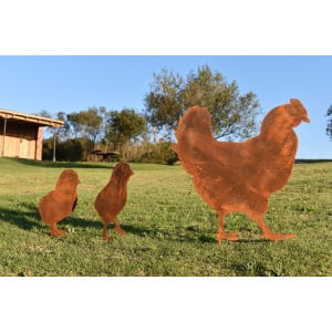 Gallina con pollitos 2