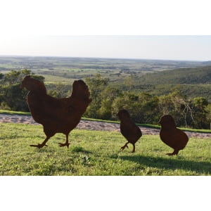 Gallina con pollitos 3