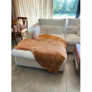 Imagen de WhatsApp 2024-09-14 a las 11.07.30_b7a4fbb5