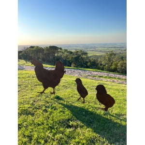 gallina y pollos yo 2