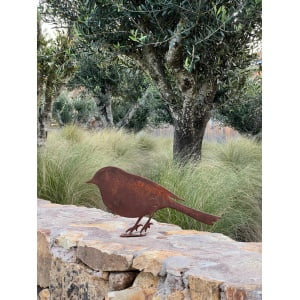 pajaro para amurar yo